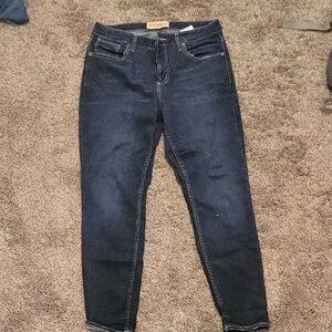 Women's Silver Jeans, The Curvy High Skinny